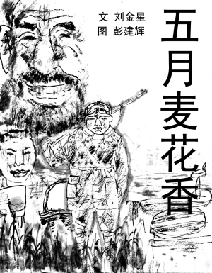 五月麥花香