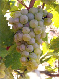 點擊圖片瀏覽更多精彩內容