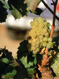 點擊圖片進入下一頁