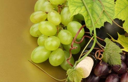 品酒解惑：葡萄酒為何有點(diǎn)酸