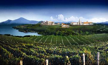 蓬萊：標準化引領葡萄產業邁入“精耕時代”