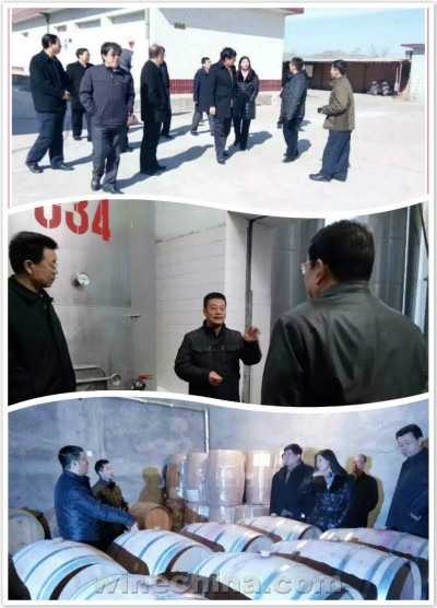 中國葡萄酒地理標志示范區有望在沙城建立