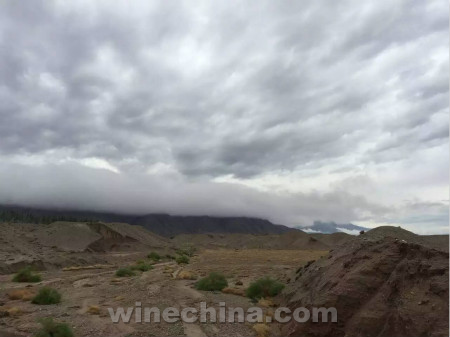 2016葡萄園報告（20）：新疆巴州遭暴雨 今年采收或因此推遲